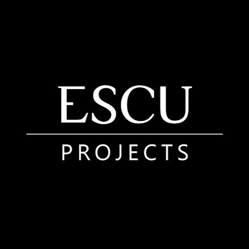 Escu Projects Pic 1