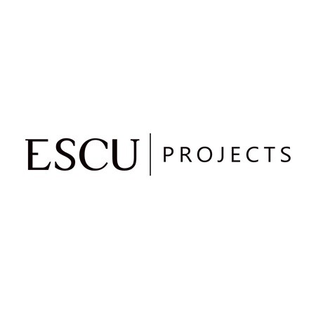 Escu Projects Pic 2