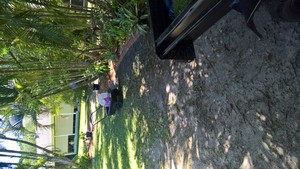 Browns Lawn Mowing & Maintenance Pic 5 - Before