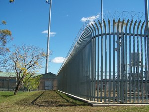 All Town & Country Fencing Pic 2 - Palisade Security