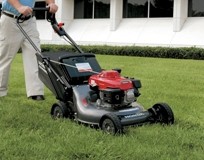 Tender Lovin Lawn and Garden Care Pic 1