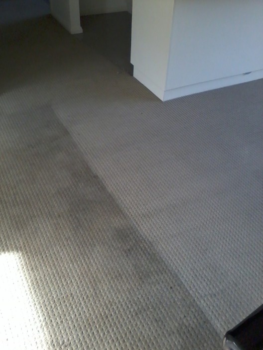 Revolution Cleaning Pic 1 - Carpet cleaning Point Cook