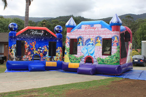 Sky High Jumping Castles Pic 3