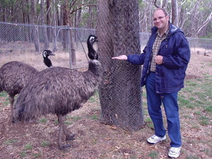 Cleland Wildlife Park Pic 3 - Me Emu