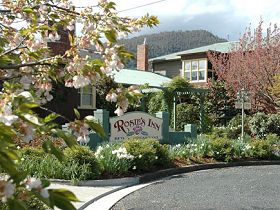 Rosie's Inn Pic 1 - Rosies Inn