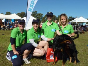 Spot The Dog Walker Pic 4 - 2011 RSPCA Millions Paws Walk