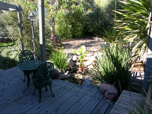 Millers Retreat Talbingo Pic 5 - Front yard with pond