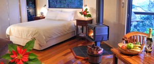 Lovestone Cottages Pic 2 - Avocado Cottage Montville Grove with firespa and rainforest view