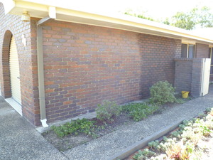 Gabe's Bricklaying Pic 5