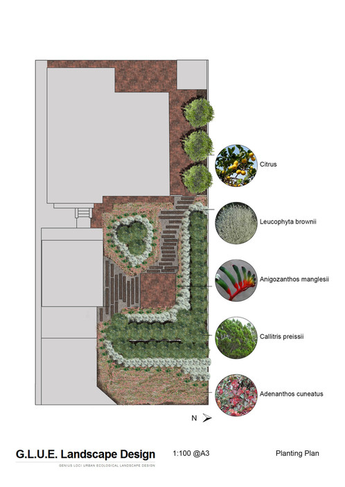 GLUE Landscape Design Pic 1 - Karrinyup Residence