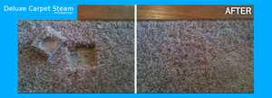 Deluxe Carpet Steam Pic 2