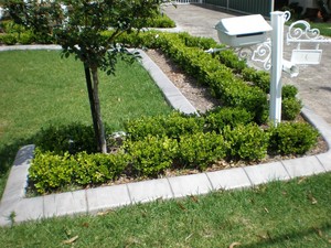 Chesterfield Constructions Pic 5 - Garden Bed design and concrete edging