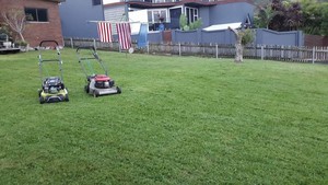 Southern Slashing and Mowing Pic 2 - Lawns mowed