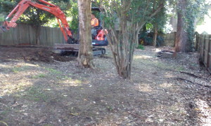 Greenhand Gardening and Tree Service Pic 5 - General Yard Maintenance