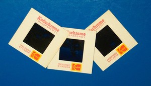 Permanent Memories Pic 4 - Transfer Slides and Negatives to CD