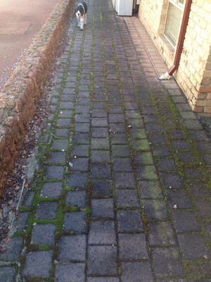 Austen's High Pressure Cleaning Pic 3 - Before Residential property paving 003