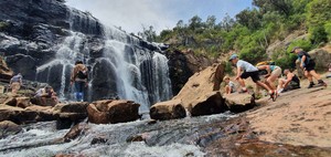 Chillax Tours Australia Pic 3