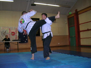 Taekwondo & Hapkido Pic 4