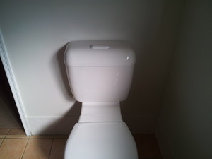 Otago Industries Pic 4 - New Toilet Cistern