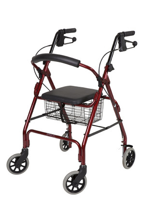 Healthy Mobility Pic 3 - 4 Wheel Walker