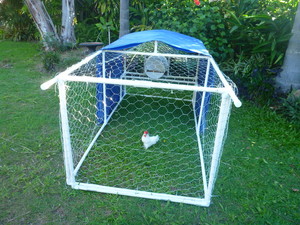 Klever Cages Pic 3 - Chicken Coop Klever Cages