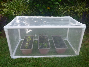 Klever Cages Pic 2 - Garden Cage to protect plants