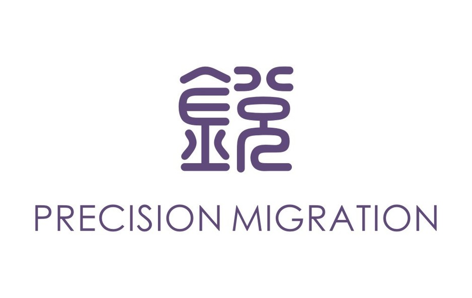 Precision Migration Advisory Services Pic 1