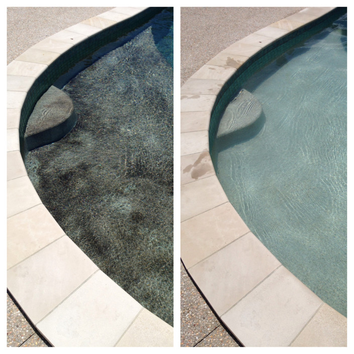 The Pool Stain Removers Pic 1