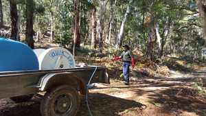 GN Rural Contracting Pic 4 - Weed spraying