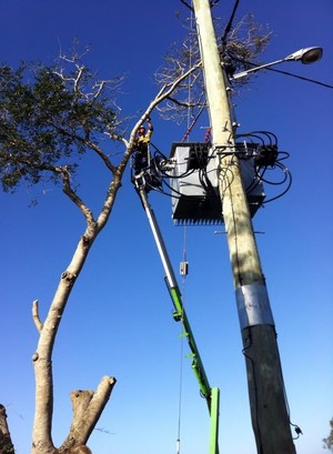 Advanced Tree Care Mackay Pty Ltd Pic 3 - Cherry Picker