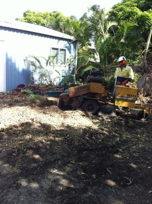 Advanced Tree Care Mackay Pty Ltd Pic 4 - Stump Grinding