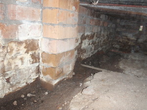 Somerset Pest Control Pic 3 - Damp Soil Conditions