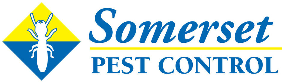 Somerset Pest Control Pic 1 - Your Pest Control Experts