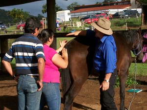 Equus Muscle Management Pic 2