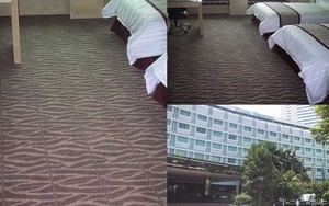 Tuftmaster Carpets Pic 3 - Plaza Hotel Singapore