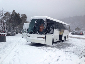 Sydney Executive Coach Charter Pic 2