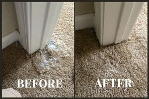 Carpet Repair Sheidow Park Pic 3