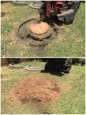 Simply Stump Grinding Pic 2