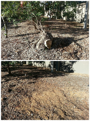 Simply Stump Grinding Pic 4