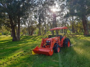 Yarra Valley Agriculture Pic 2 - Benefits of slashing pasture include weed management forage quality reducing grazing patterns Additionally makes it look tidy