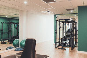 Elevation One Physiotherapy Pic 5 - Elevation One Physiotherapy Gym and rehab area