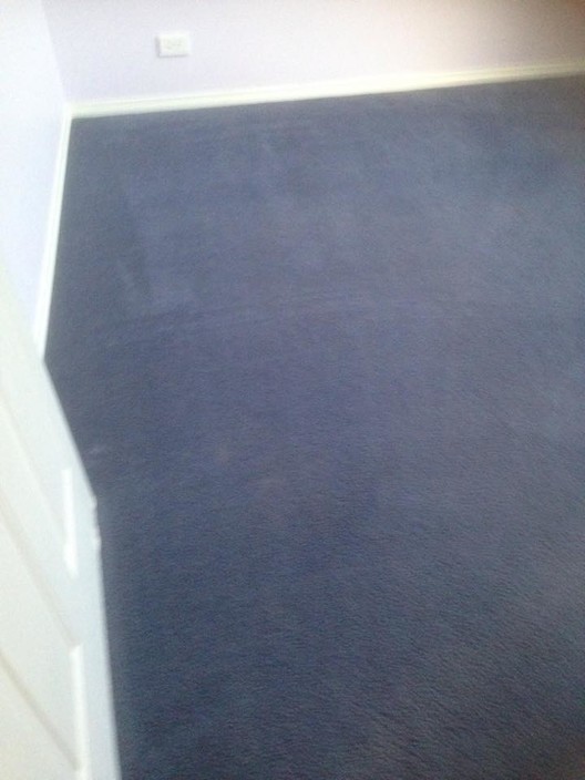 Michael's Carpet Cleaning Services Pic 1 - After Picture