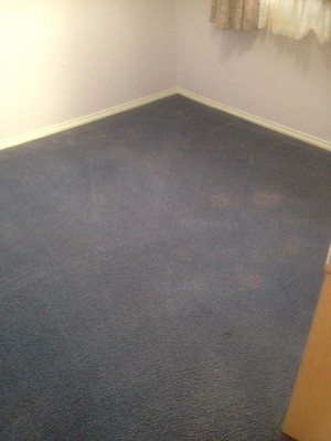 Michael's Carpet Cleaning Services Pic 3 - After Picture