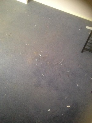 Michael's Carpet Cleaning Services Pic 5 - Before Picture