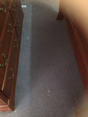 Michael's Carpet Cleaning Services Pic 4 - Before Picture