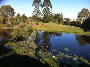 Upstream Bethania Pic 3 - Upstream Lake