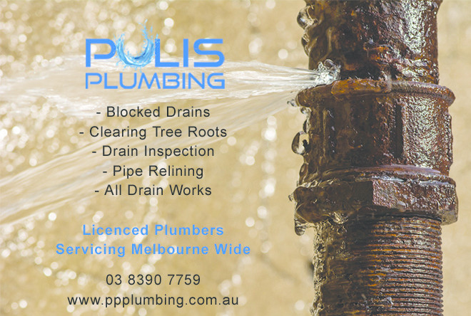 Pulis Professional Plumbing Pic 1