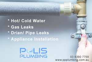 Pulis Professional Plumbing Pic 3