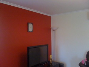 Painting Services Bravo Pic 2