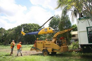 Brisbane Tree Experts Pic 4